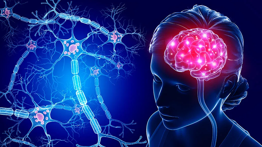 Science Behind The Genius Wave
